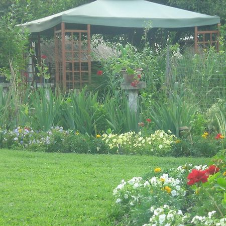 Farm Stay Lackovic Bilje Zewnętrze zdjęcie
