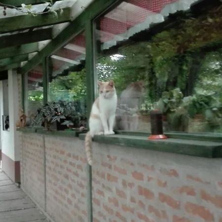 Farm Stay Lackovic Bilje Zewnętrze zdjęcie