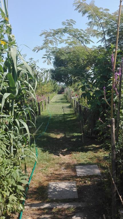 Farm Stay Lackovic Bilje Zewnętrze zdjęcie