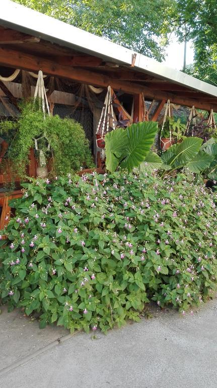Farm Stay Lackovic Bilje Zewnętrze zdjęcie